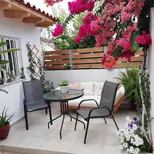 Small With Yard Apartment